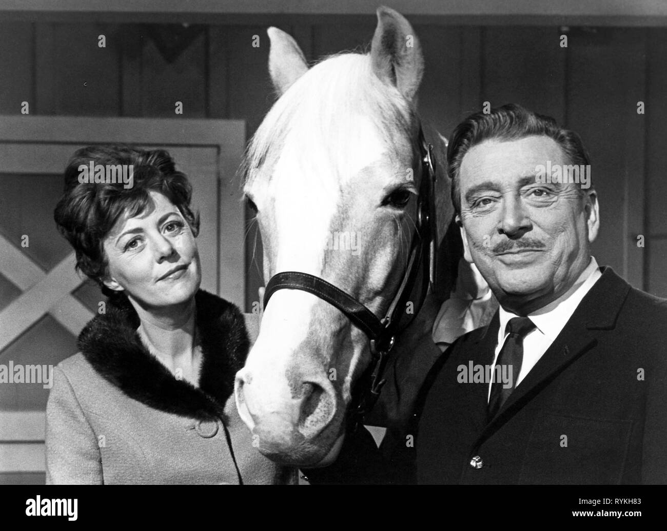 MACMICHAEL, ED, AMES, MISTER ED, 1961 Stockfoto