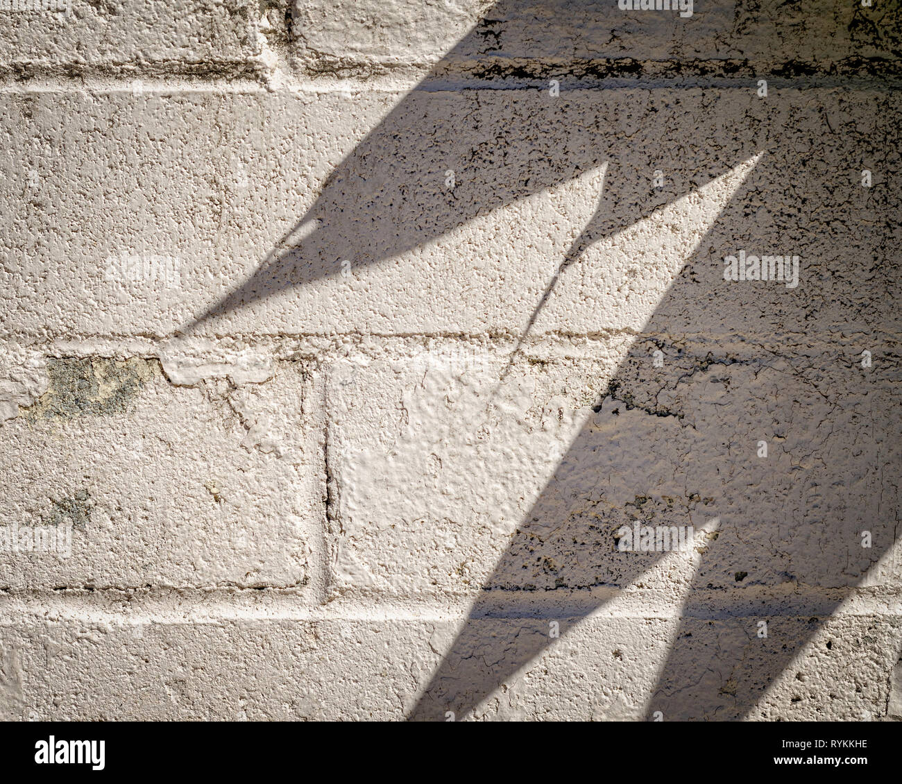 In der Nähe von cinder Block Wand mit Blatt Schatten auf die Oberfläche. Stockfoto