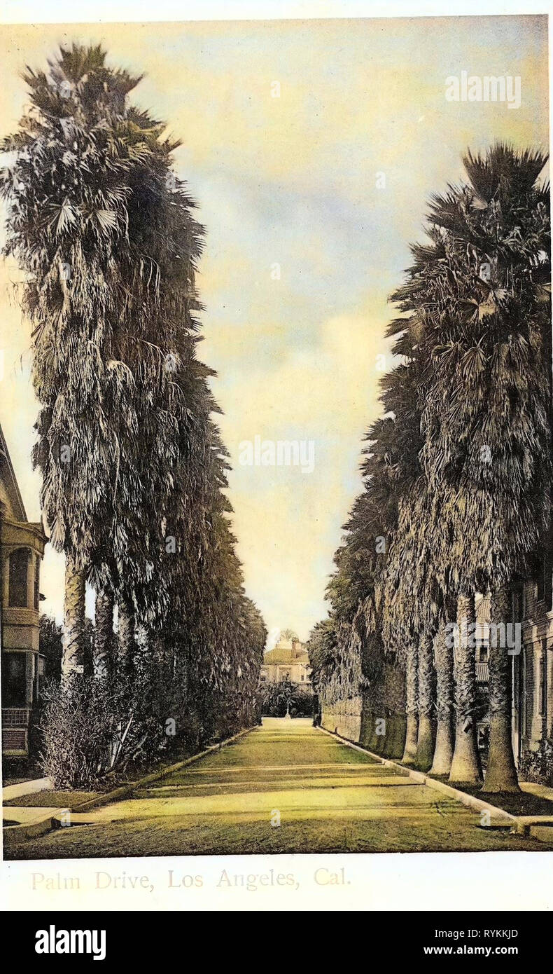 Wege in die Usa, Geschichte von Los Angeles 1903, Kalifornien, Los Angeles, Palm Drive Stockfoto
