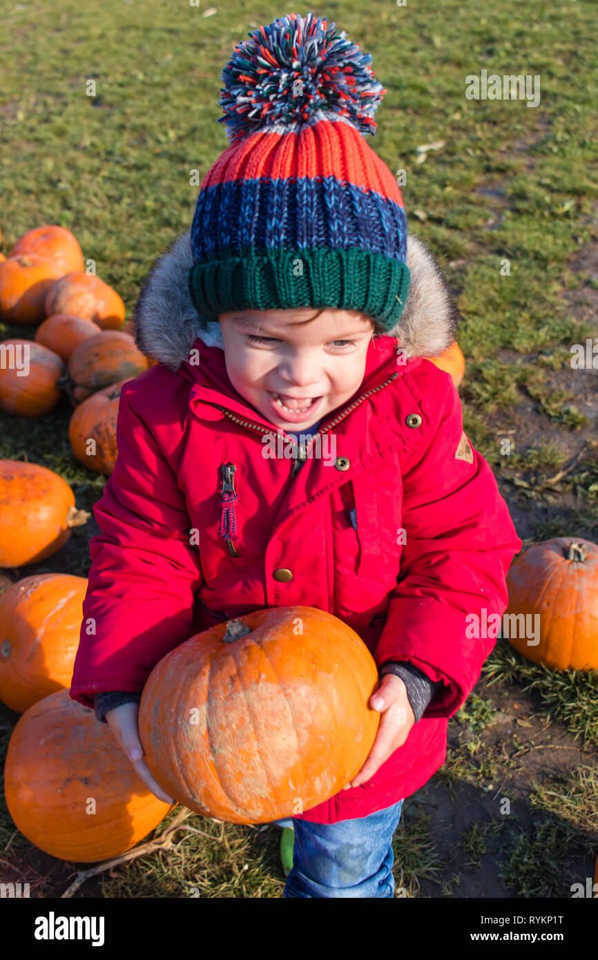 Zwei Jahre alten Sohn Kommissionierung Kürbisse für Halloween, trägt einen roten Mantel und Bobble hat, lächelnd, Großbritannien Stockfoto