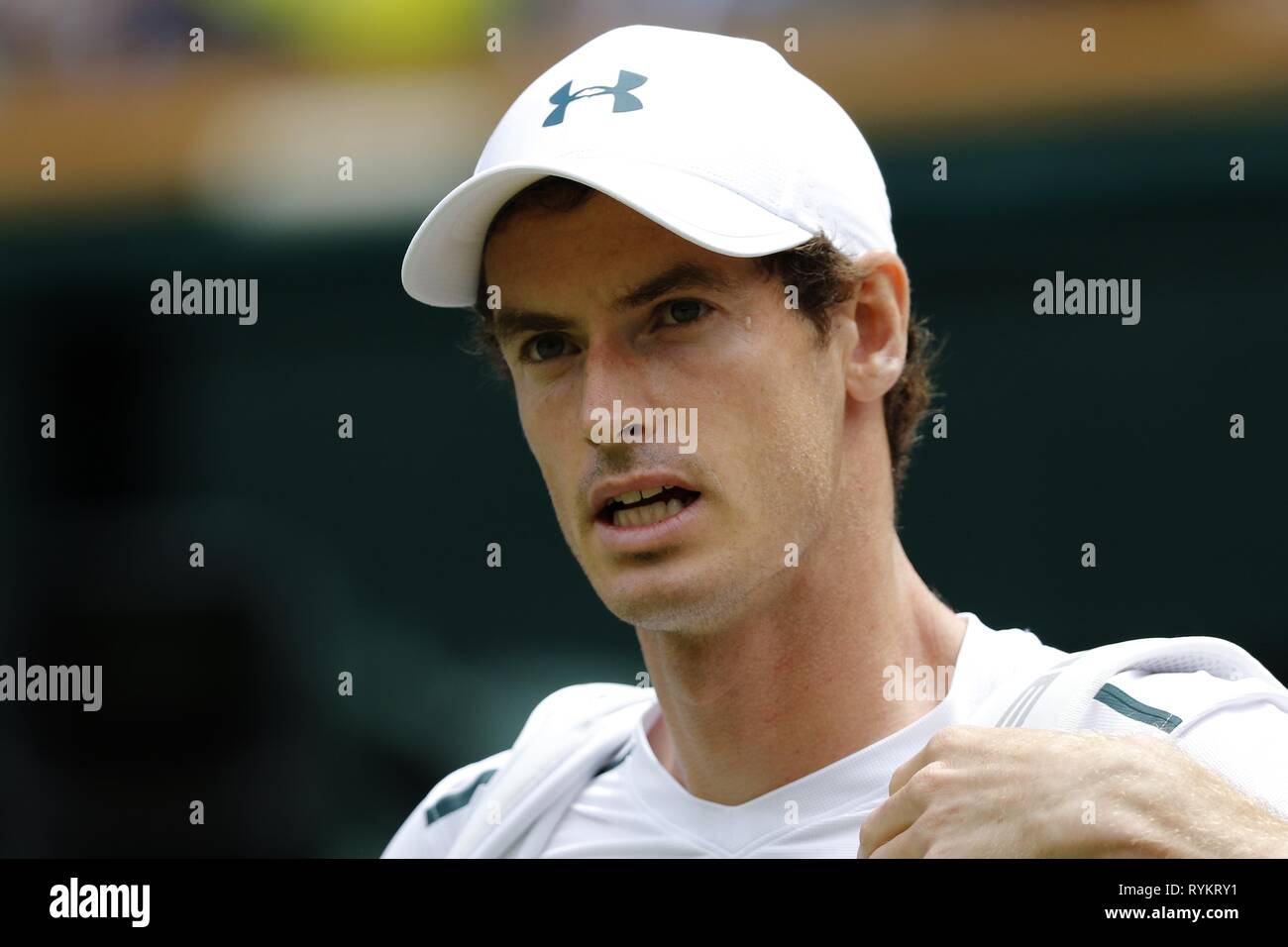 ANDY MURRAY, GROSSBRITANNIEN, die Wimbledon Championships 2017, 2017 Stockfoto