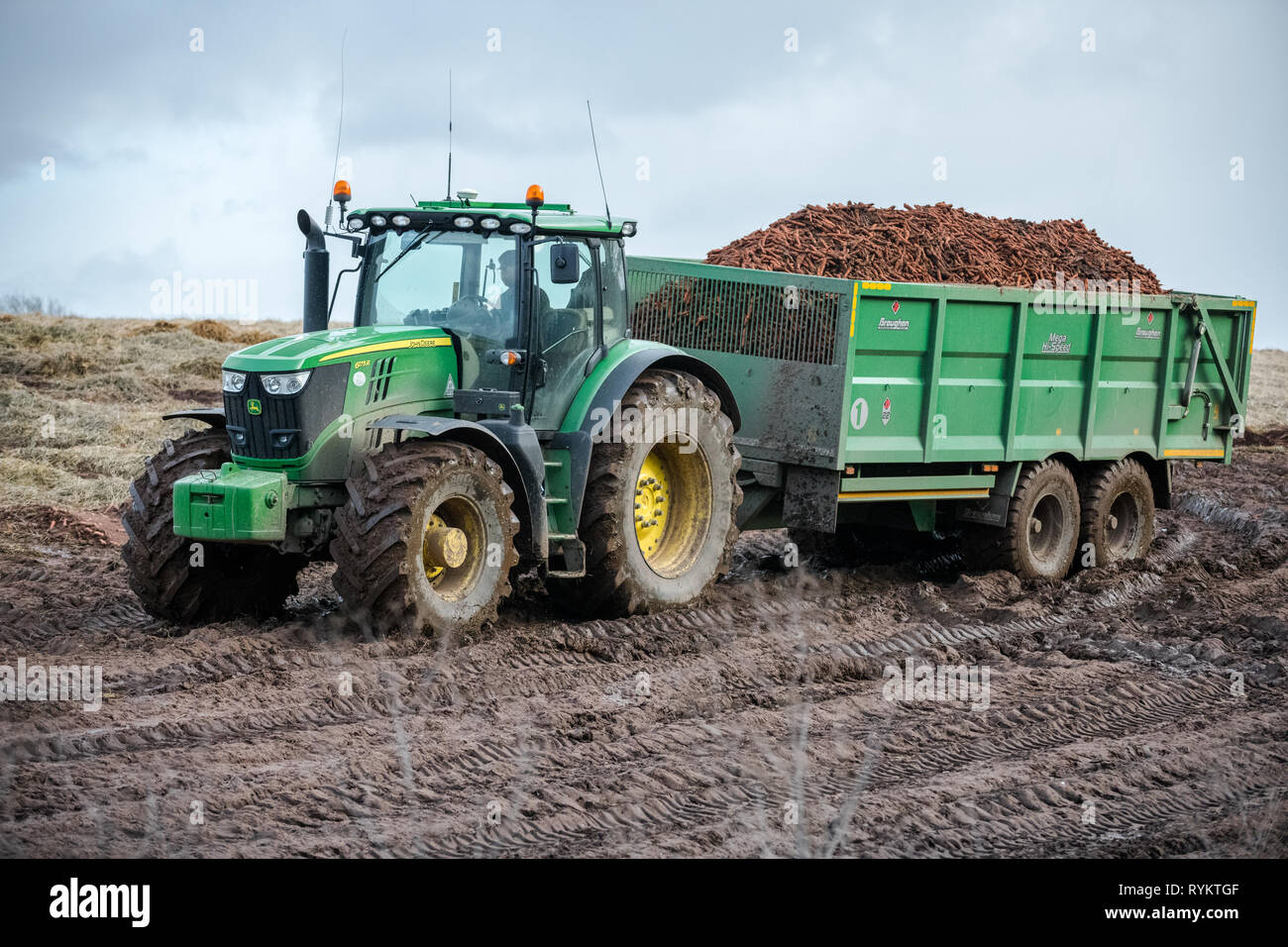 John Deere Traktor ziehen einen großen Anhänger mit Karotten geladen. Stockfoto