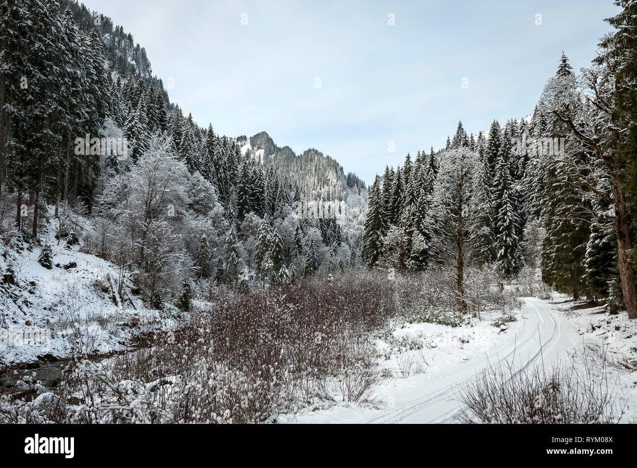Landschaft in der Nähe von Schloss Linderhof, Oberammergau, Oberbayern, Deutschland Stockfoto