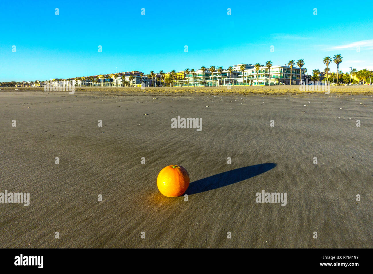 Valencia Strand Malva Rosa, Orange auf einem Strand, El Cabanyal barrio, Spanien Stockfoto