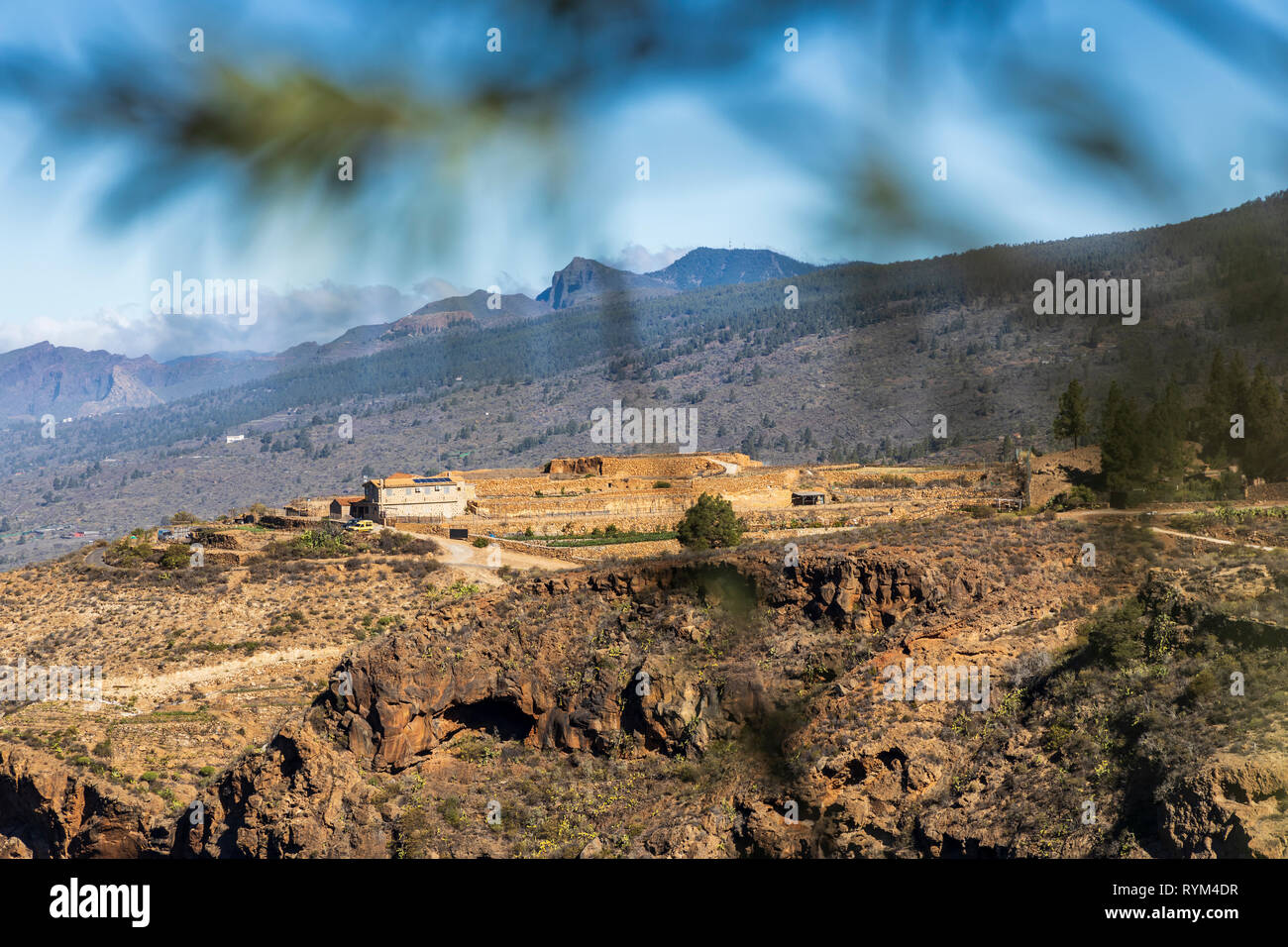 Blick in den Barranco de Guaria und einem entfernten finca Bauernhof oberhalb der Klippen, und die Klippen von Los Gigantes auf den fernen Horizont, von Las Fuentes Stockfoto