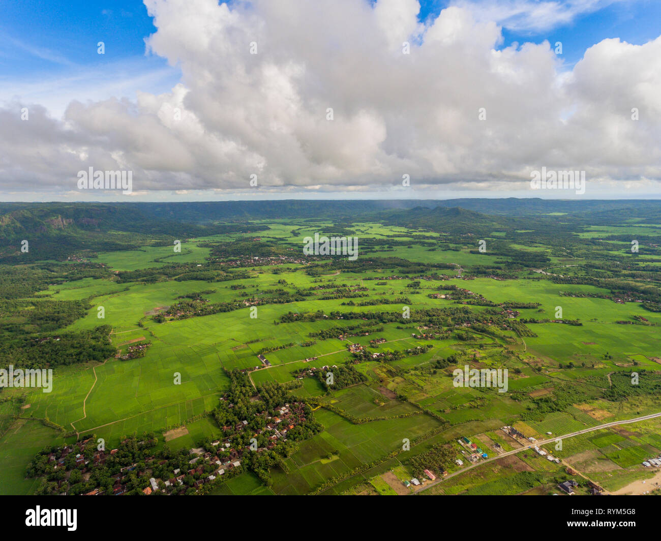 Große, breite und umfangreiche Landwirtschaft (Reis Felder) in das Tal von Ciletuh im Herzen von Ciletuh - palabuhanratu Geopark. So üppig und grün. Stockfoto