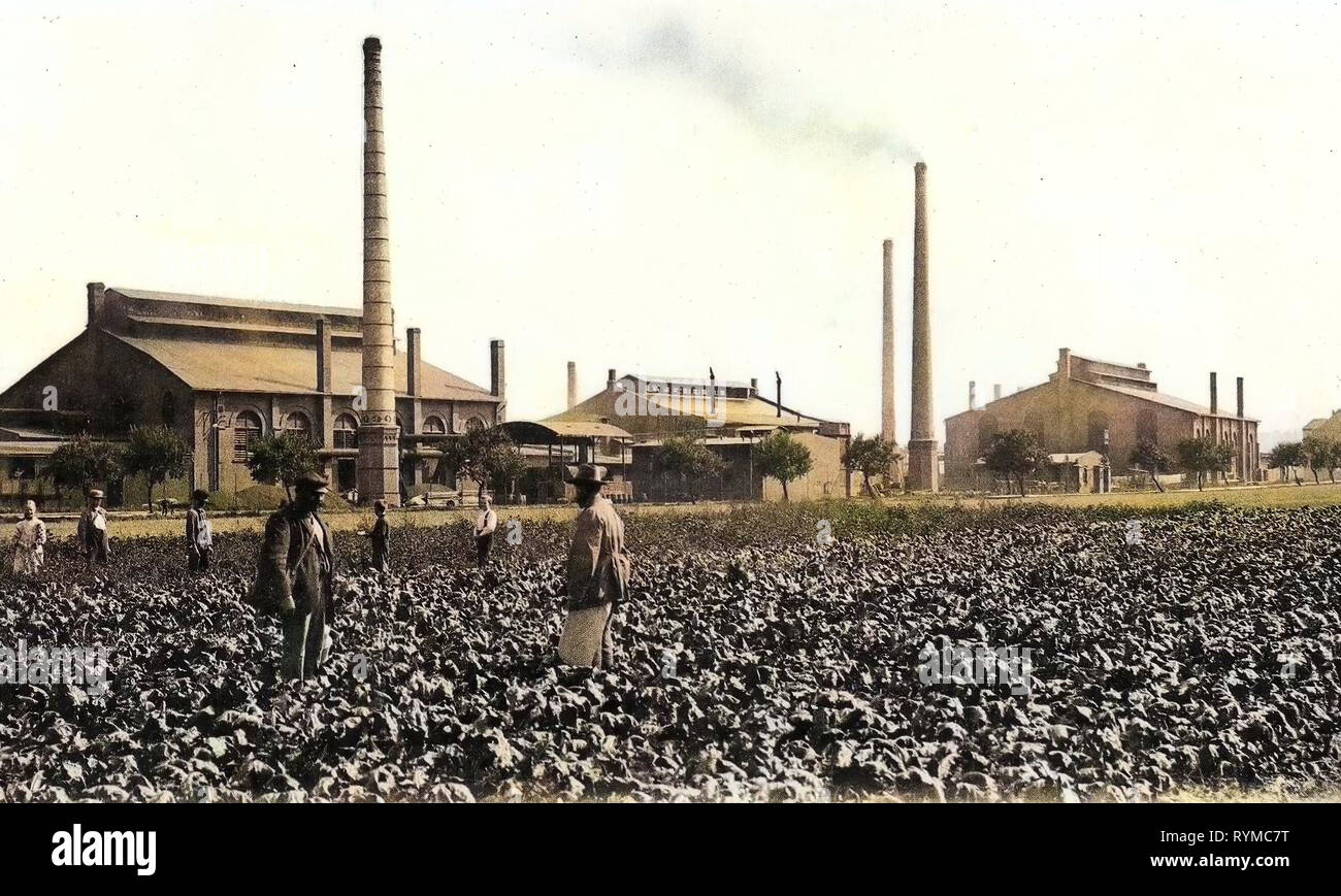 Industrie in Sachsen, Brockwitz, 1906, Landkreis Meißen, Glasfabrik, Deutschland Stockfoto