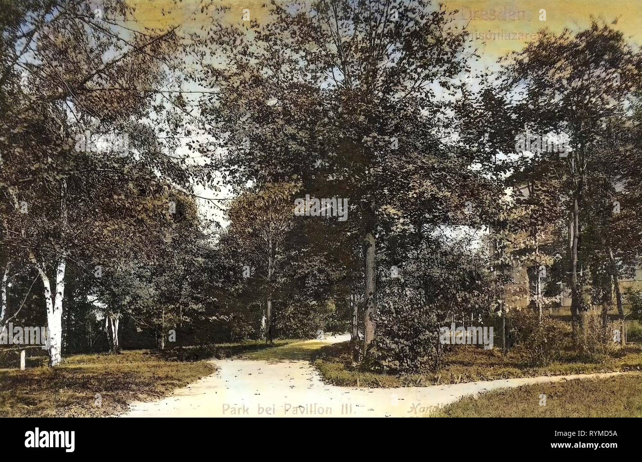 Garnisonslazarett Dresden, Gärten und Parks in Dresden, 1906, Dresden, Garnisonslazarett, Park bei Pavillon III, Deutschland Stockfoto