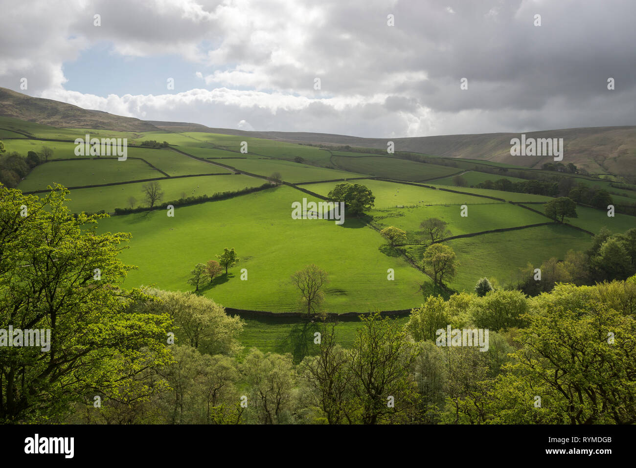 Grünen Hügel in der Nähe von Hayfield in Derbyshire, England. Die englische Landschaft Mitte Mai. Stockfoto
