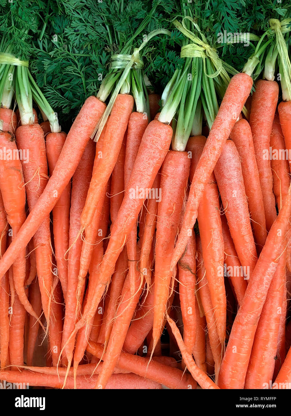 Bio Karotten zum Verkauf an einer Farmers Market Stockfoto