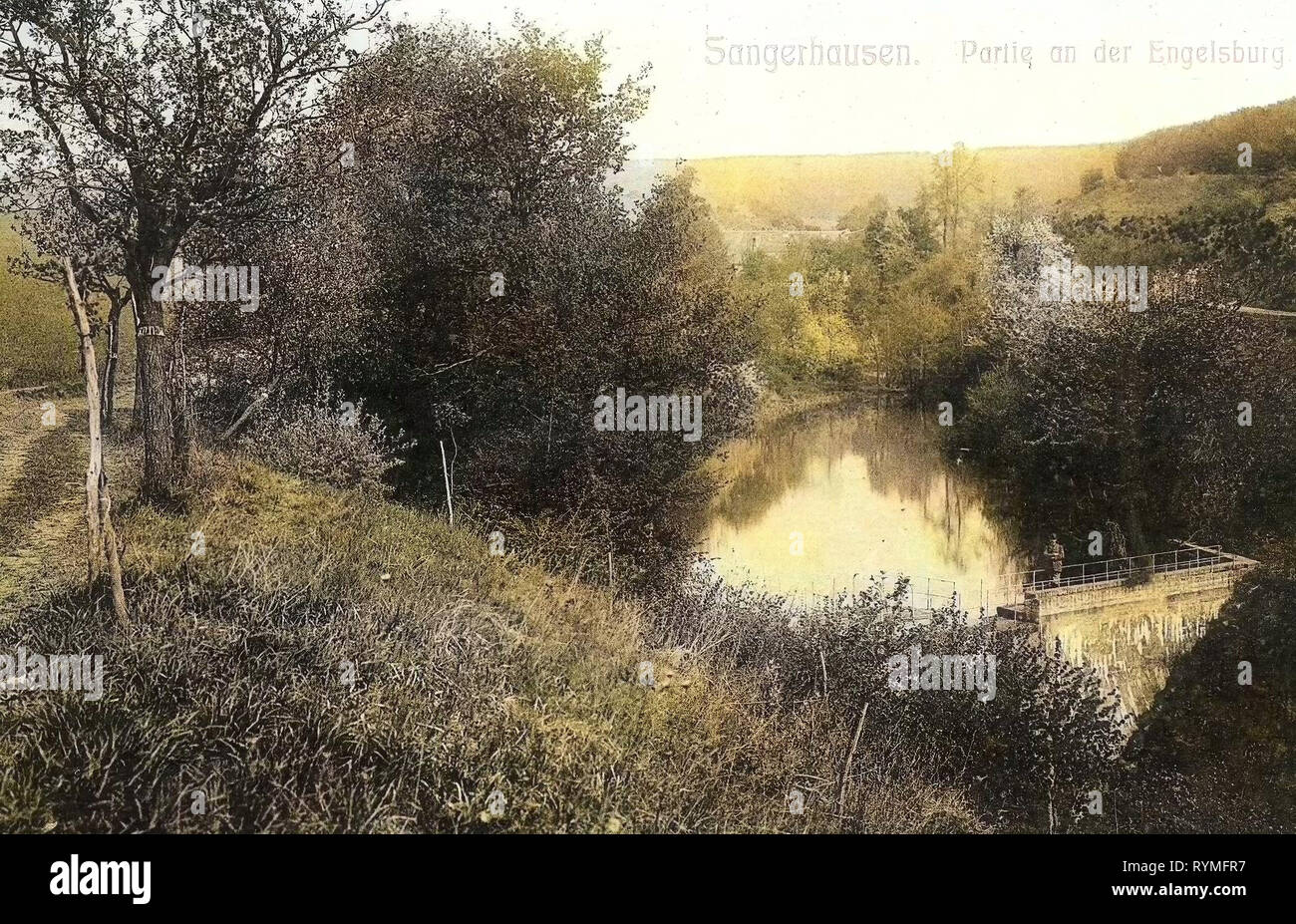 Stauseen in Deutschland, Teiche im Landkreis MansfeldSüdharz