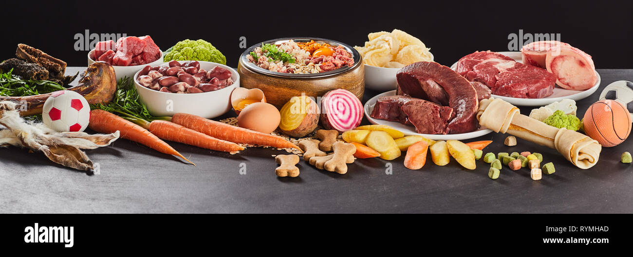 Panorama Banner mit sortierten frische Lebensmittel für die Zubereitung von gesunder Rohstoff barf für Katzen und Hunden mit Gemüse, Hafer, Innereien, Organe, Magen, Fleisch, Spielzeug ein Stockfoto