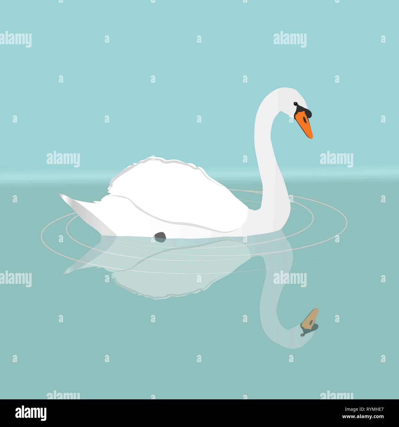 Eine Mute swan schwimmen im Wasser Stock Vektor