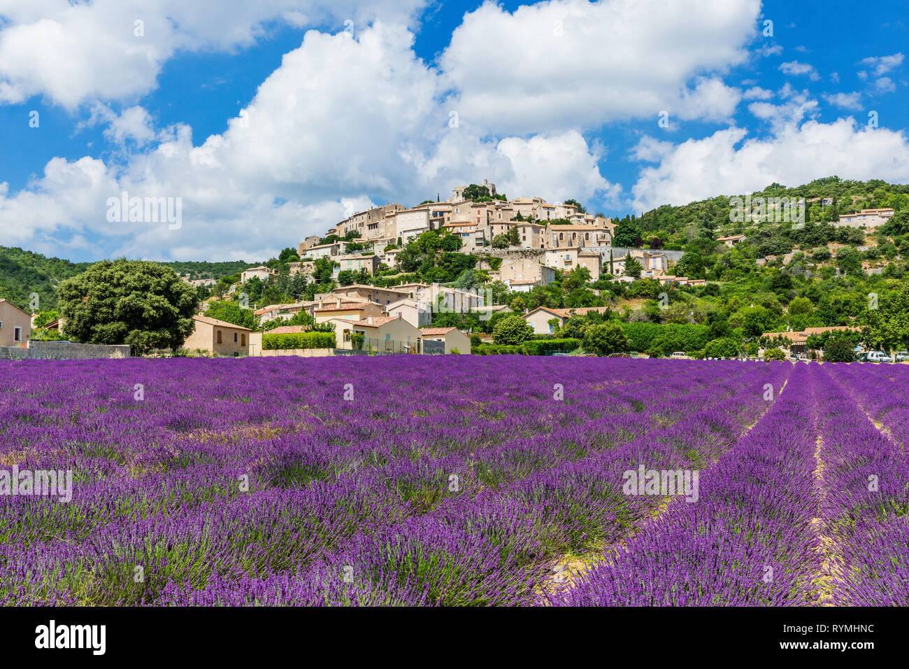 Simiane la Rotonde, Frankreich. Hilltop Dorf in der Provence mit Lavendelfelder. Stockfoto