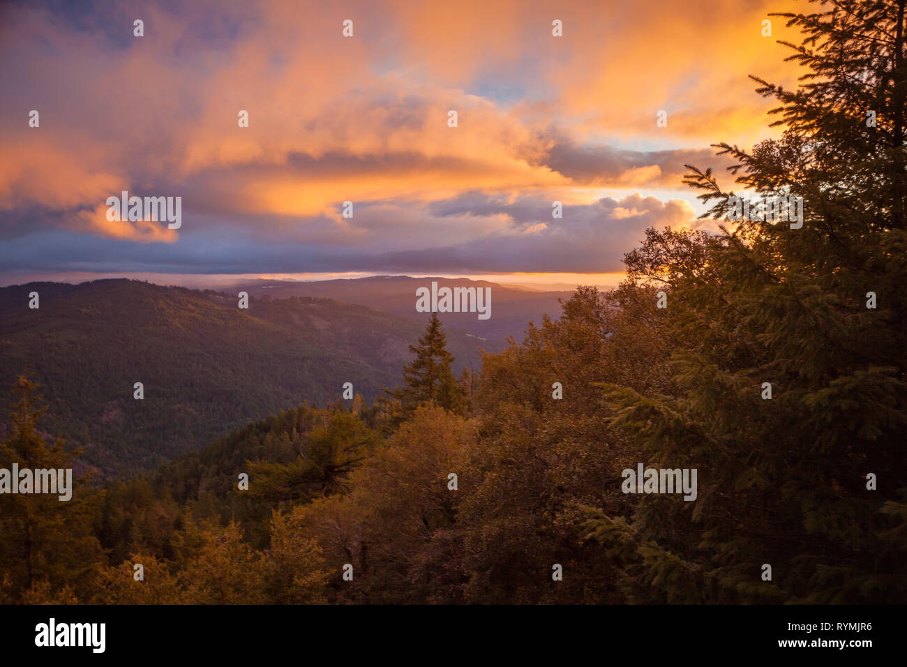 Sonnenuntergang über dem fehlt Nebenfluss-wasserscheide in der Coast Range bergen nordwestlich von Arcata California. Stockfoto