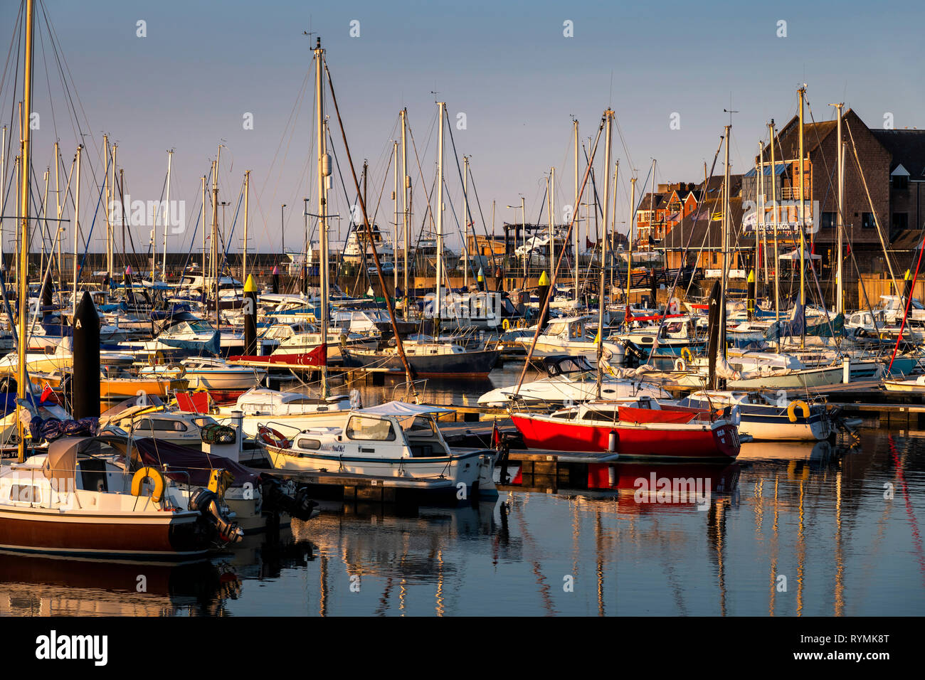 Bangor Marina County Down an einem schönen Sommerabend Stockfoto