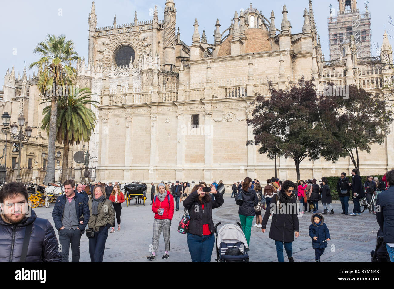 Touristen in Plaza del Triunfo mit Sevilla Kathedrale im Hintergrund Stockfoto