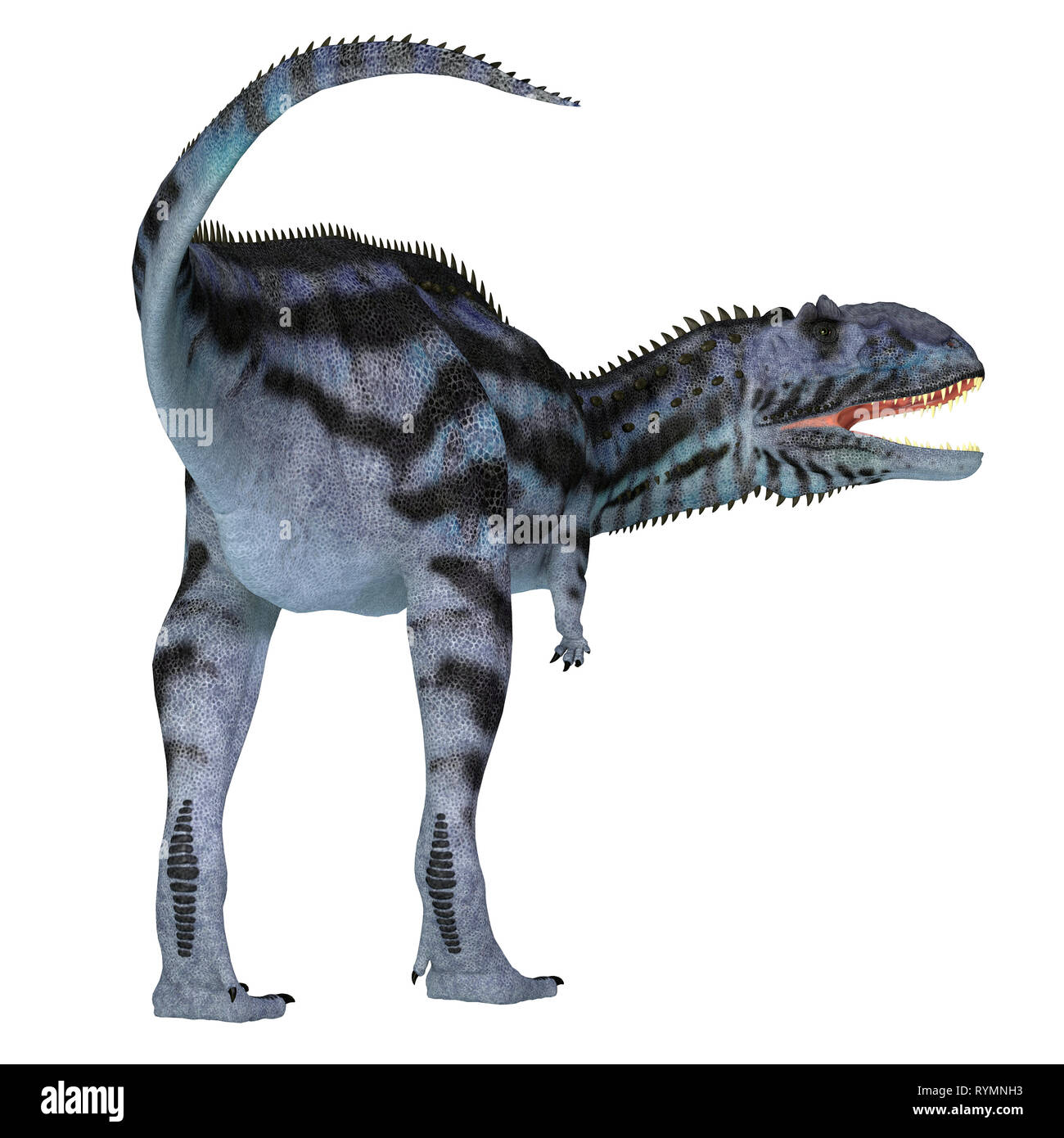Majungasaurus Dinosaurier Schwanz - Majungasaurus war eine fleischfressende Theropode Saurier, die in Madagaskar in der Kreidezeit lebten. Stockfoto