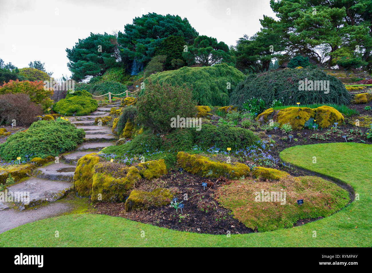 Der Steingarten eine im Royal Botanic Garden Edinburgh, Schottland, Großbritannien Stockfoto