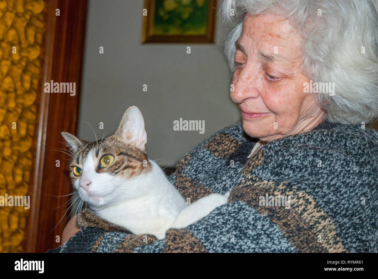 Alte Dame umarmte ihre Katze. Stockfoto
