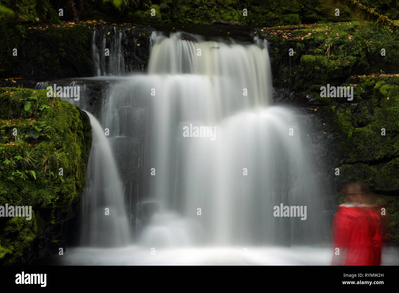 Wasserfall bei McLean fällt, die Catlins, Neuseeland Stockfoto