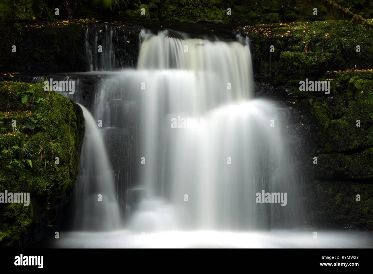 Wasserfall bei McLean fällt, die Catlins, Neuseeland Stockfoto