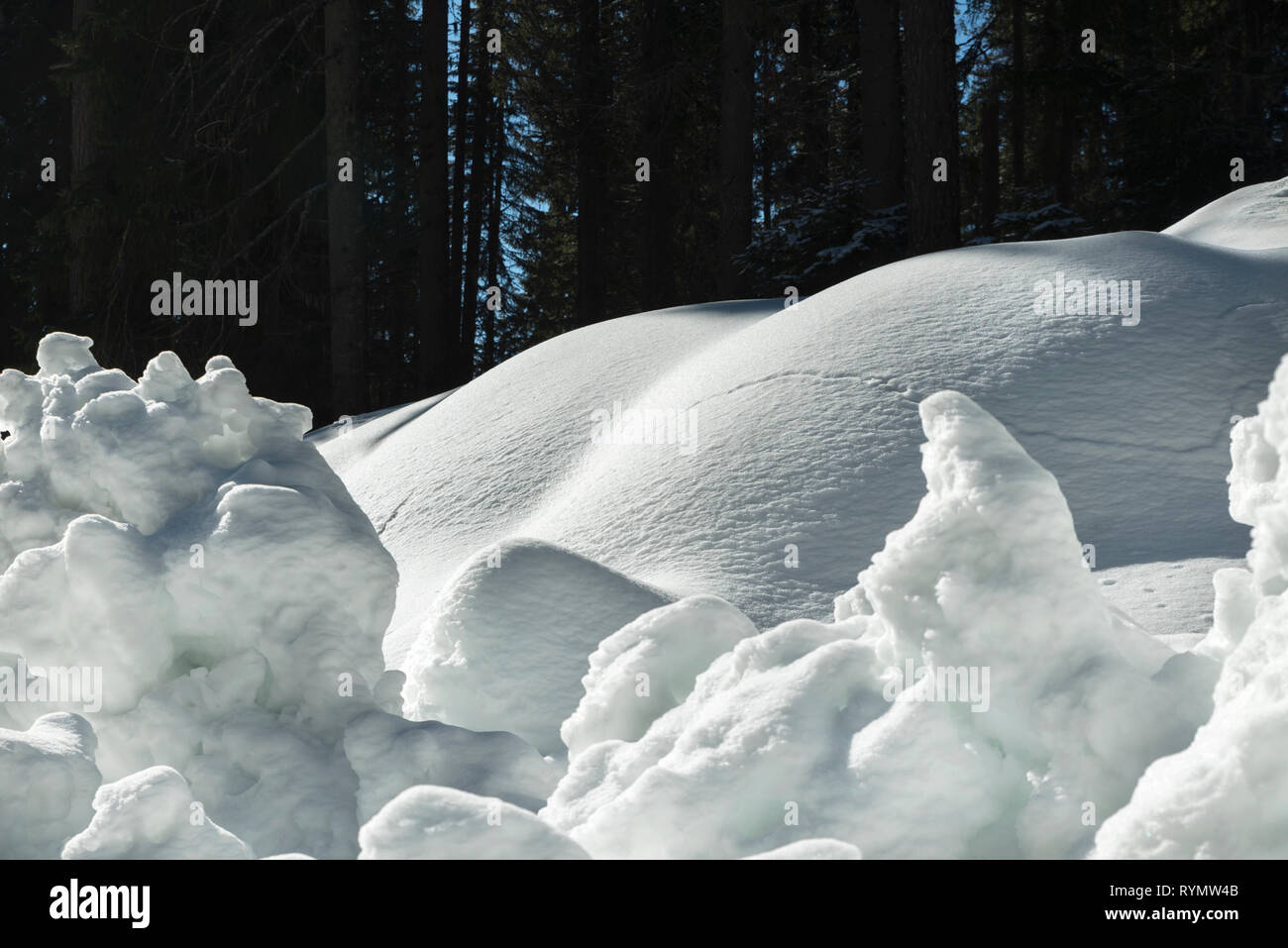 Snow Drift im Wald im Rhodopi mountain Saison selektive Winter konzentrieren Stockfoto