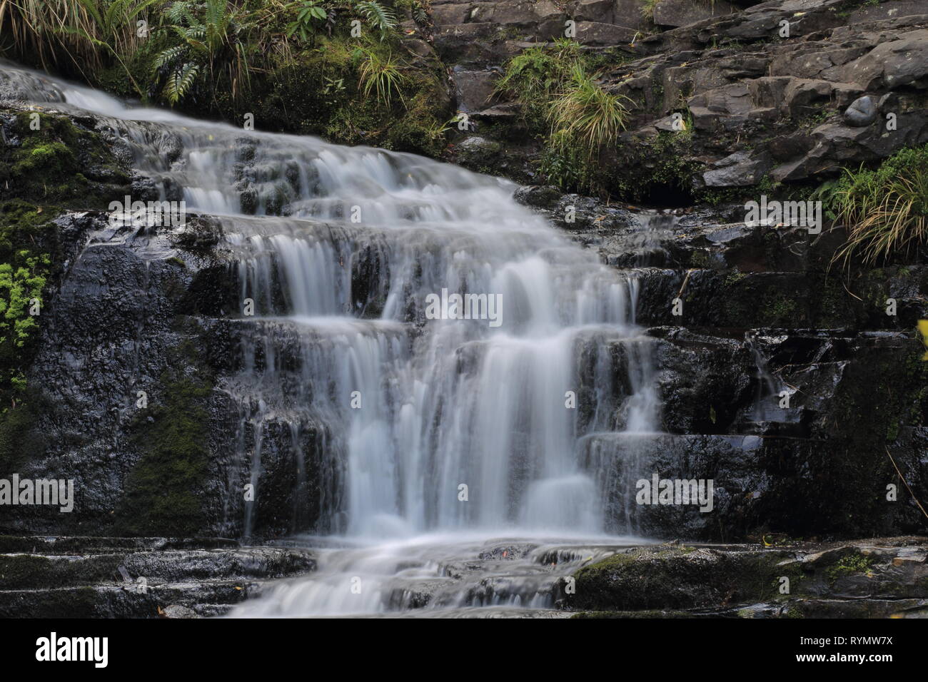 McLean fällt, Catlins, Neuseeland Stockfoto