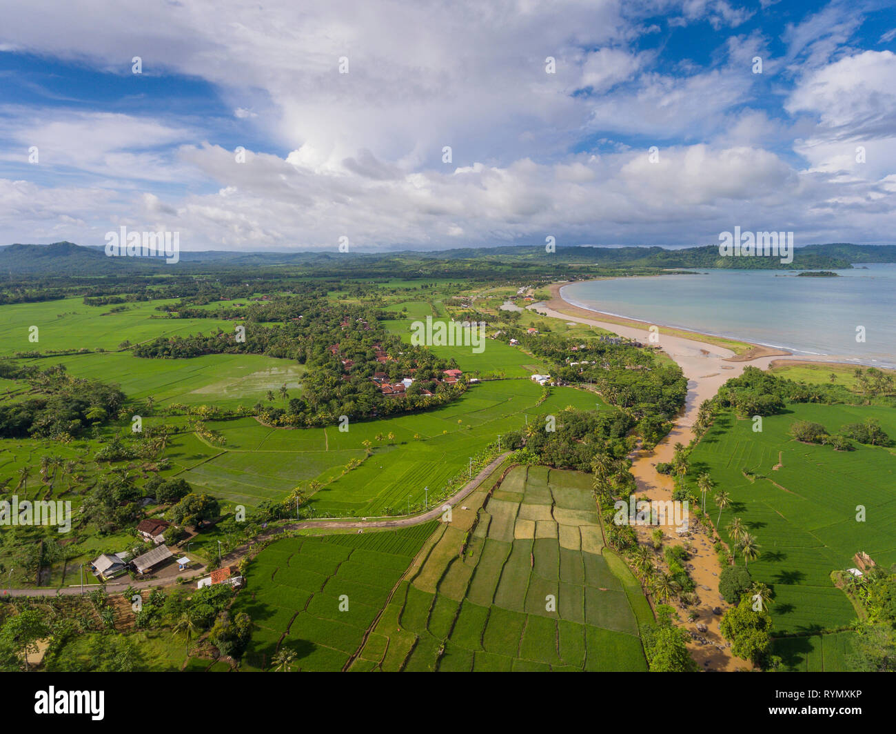 Üppig und fruchtbaren Reisfeldern in den Rand des Meeres und ein Fluss fließt zum Meer. Ciletuh - palabuhanratu Geopark. Stockfoto