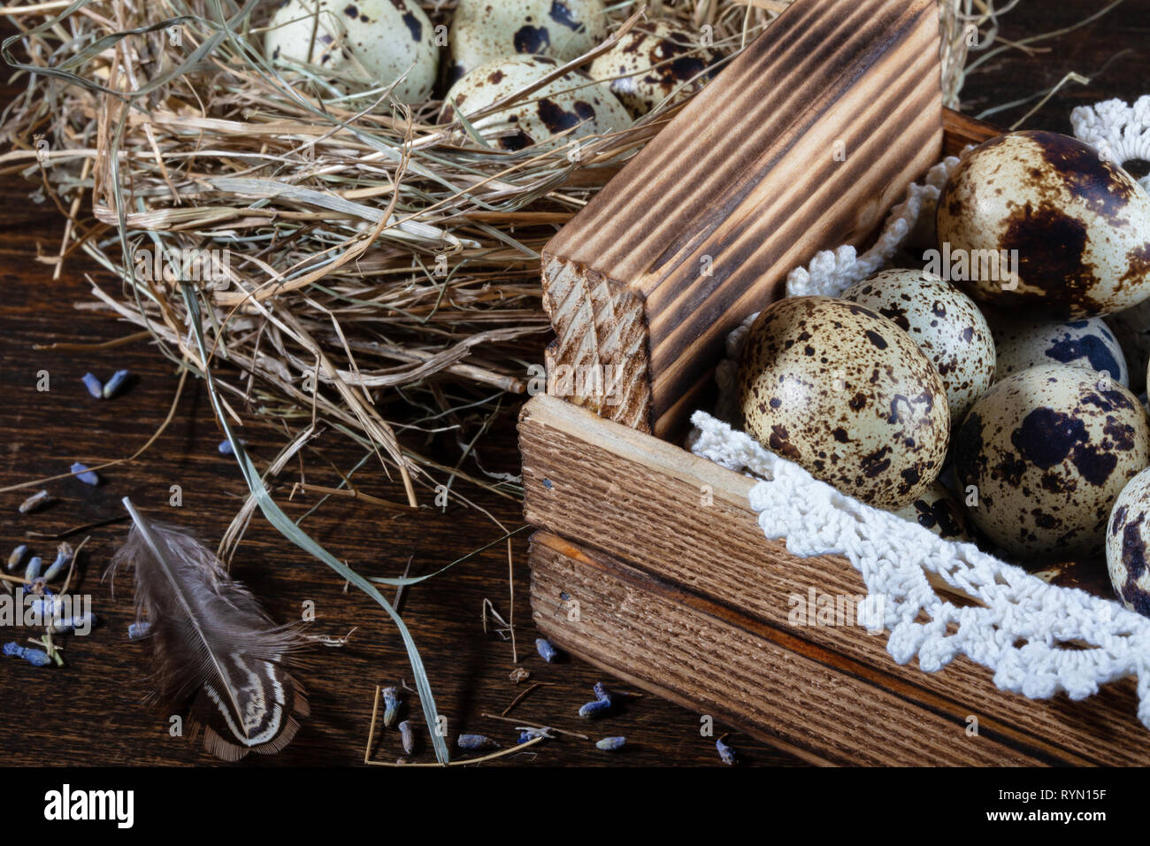 Wachteleier immer noch Leben. Wachteleier liegen in einem Nest aus Heu und  in einem hölzernen Kasten auf einer Spitze Serviette. Close-up  Stockfotografie - Alamy