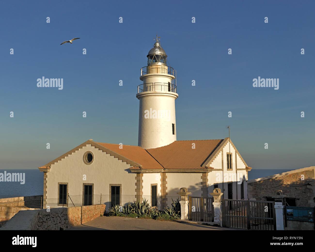 Weit de Capdepera Leuchtturm, tagsüber, sonnigen Himmel mit Vogel, Cala Ratjada, Mallorca, Spanien. Stockfoto