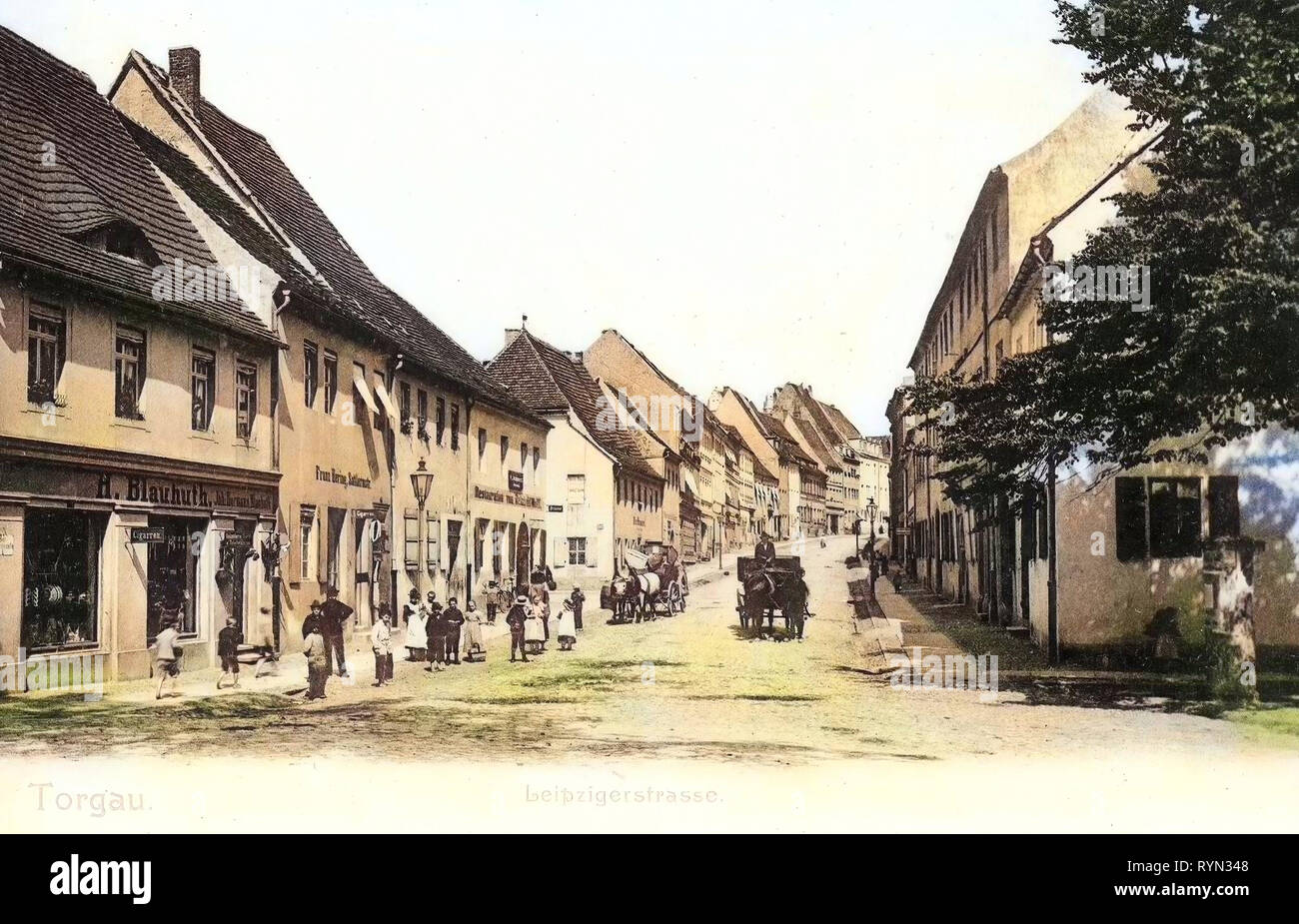 Pferdekutschen in Deutschland, Pferde von Sachsen, Torgau, 1904, Landkreis Nordsachsen, Leipziger Straße. Stockfoto