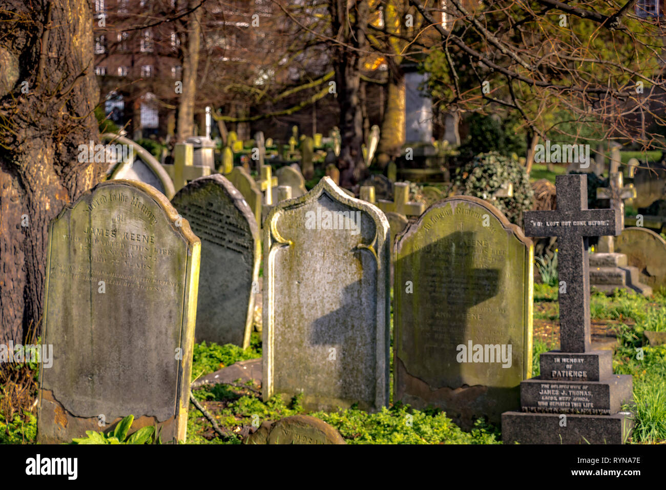 Gräber und Grabsteine auf dem Brompton Cemetery im Royal Borough of Kensington and Chelsea, SW London, London, UK Stockfoto