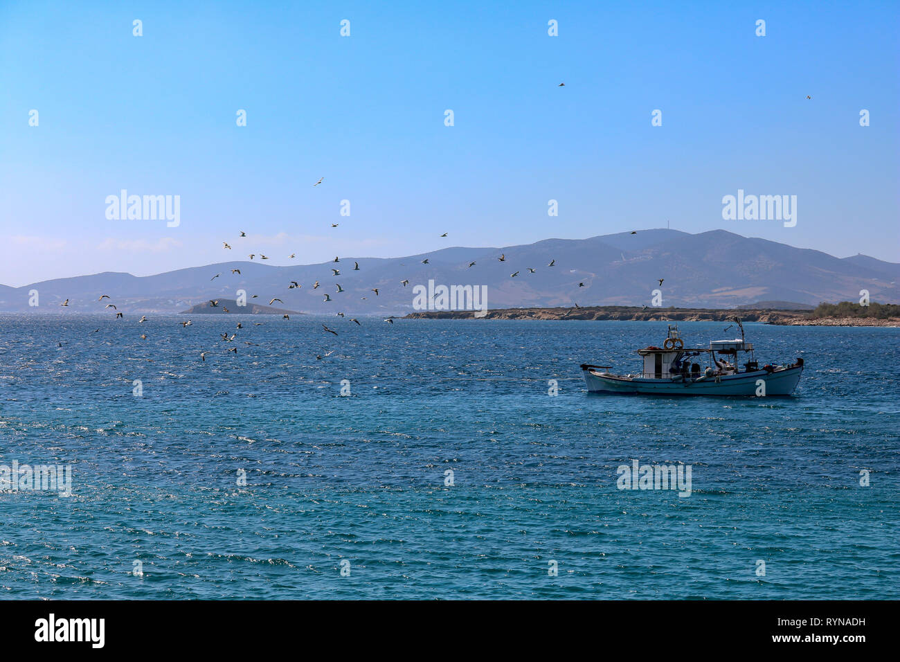 Griechische Angeln Segeln an der Küste der Insel Paros, Kykladen, Griechenland Stockfoto