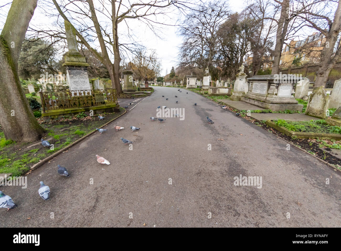 Brompton Friedhof. Im Jahre 1840 als kommerzielle Friedhof eröffnet wurde, gibt es nur sehr wenige Arme hier begraben. London. Großbritannien Stockfoto