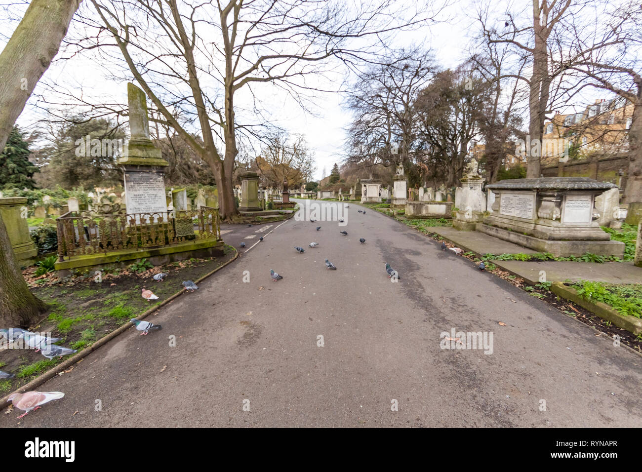 Brompton Friedhof. Im Jahre 1840 als kommerzielle Friedhof eröffnet wurde, gibt es nur sehr wenige Arme hier begraben. London. Großbritannien Stockfoto