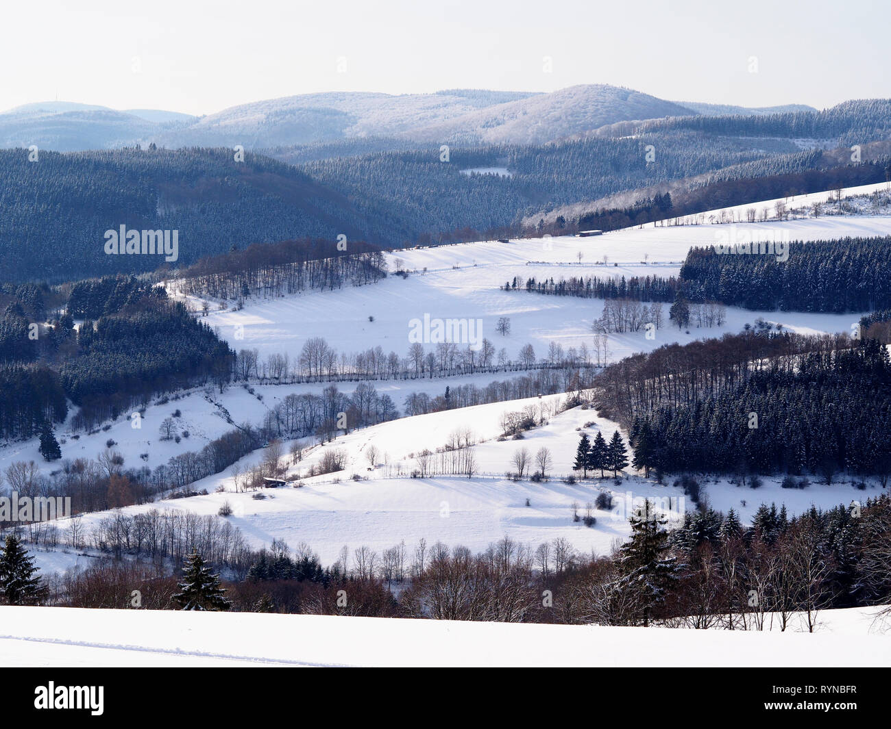 Sauerland, Deutschland - Winterlandschaft mit Schnee - bewaldeten Hügeln und Feldern, Stockfoto