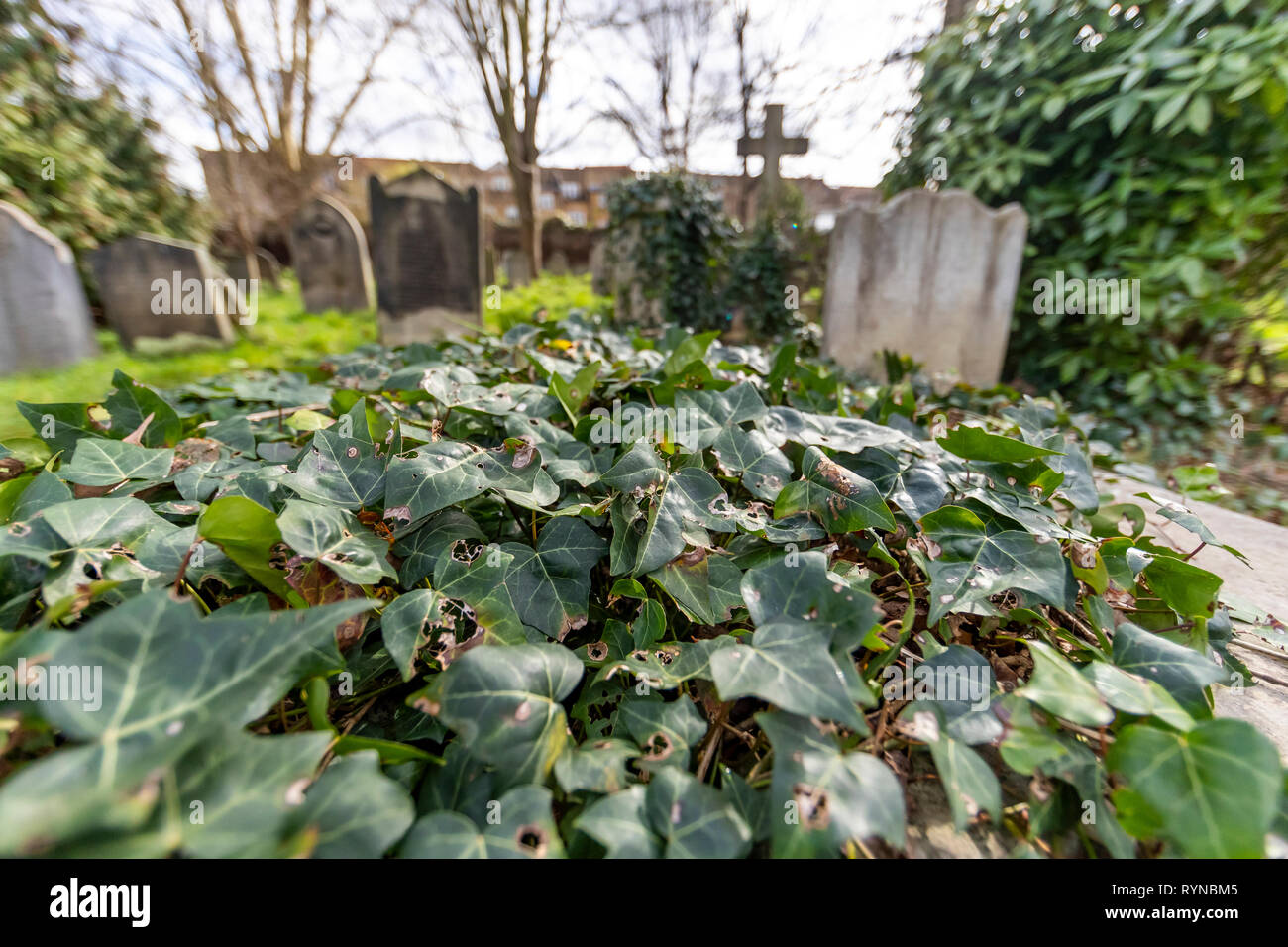 Brompton Friedhof. Im Jahre 1840 als kommerzielle Friedhof eröffnet wurde, gibt es nur sehr wenige Arme hier begraben. London. Großbritannien Stockfoto