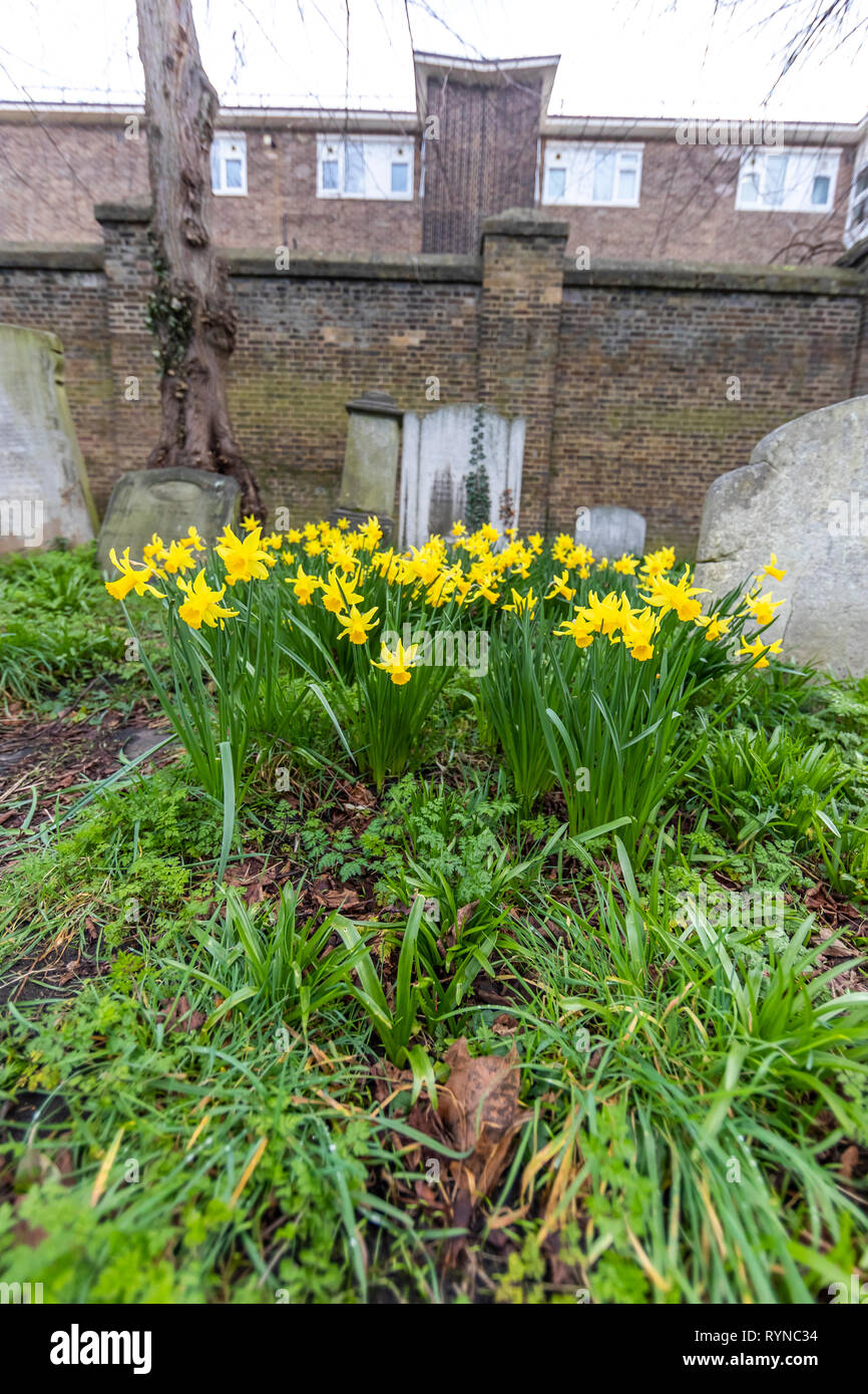 Brompton Friedhof. Im Jahre 1840 als kommerzielle Friedhof eröffnet wurde, gibt es nur sehr wenige Arme hier begraben. London. Großbritannien Stockfoto
