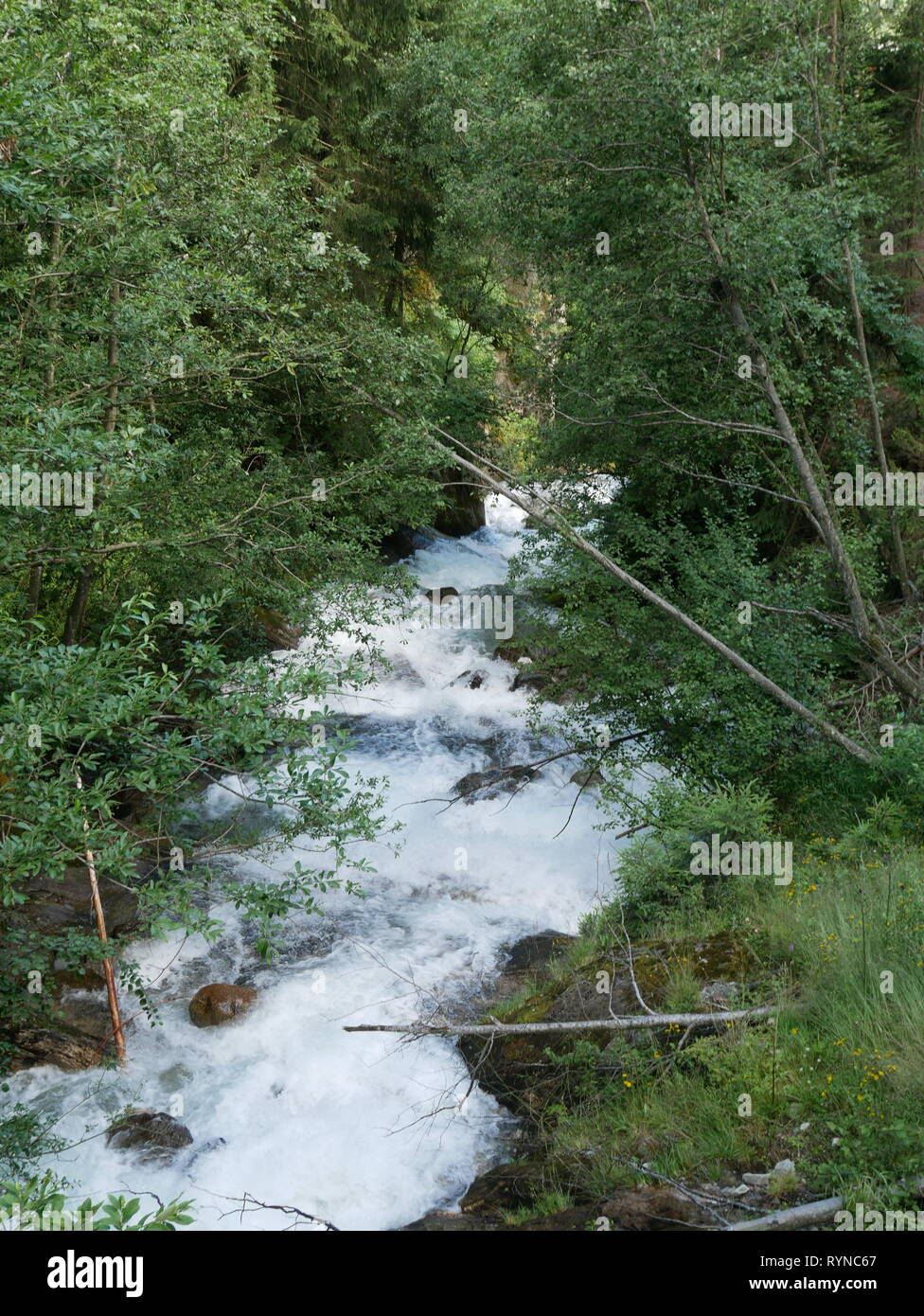 Schnell fließenden Gebirgsfluss, Südtirol, Italien Stockfoto