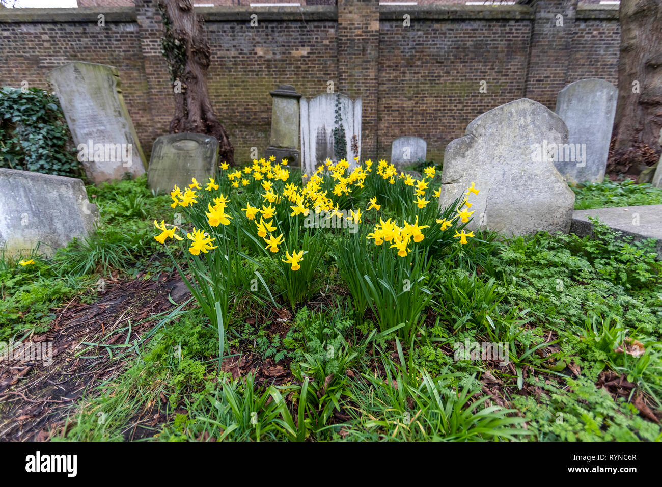 Brompton Friedhof. Im Jahre 1840 als kommerzielle Friedhof eröffnet wurde, gibt es nur sehr wenige Arme hier begraben. London. Großbritannien Stockfoto