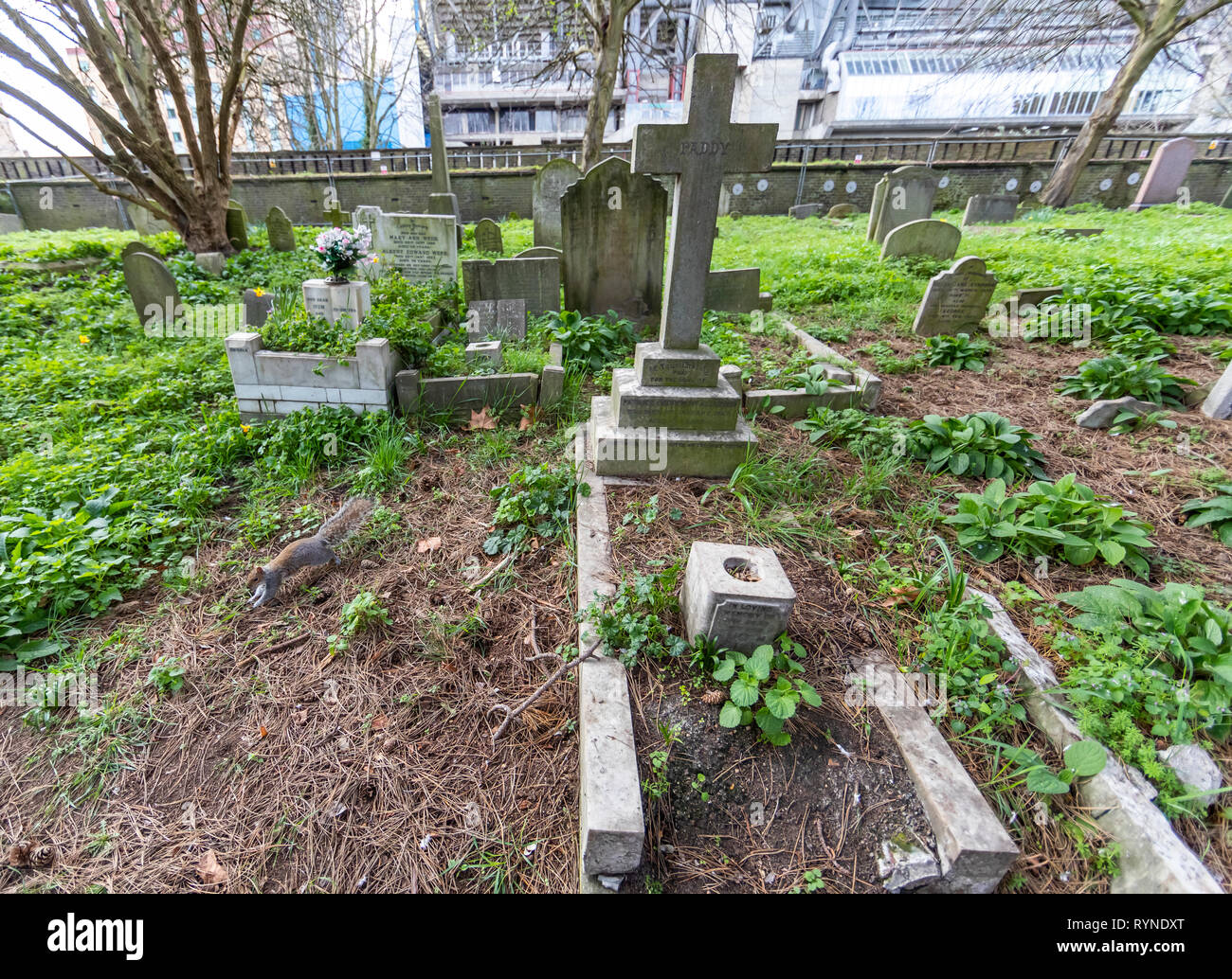 Brompton Friedhof. Im Jahre 1840 als kommerzielle Friedhof eröffnet wurde, gibt es nur sehr wenige Arme hier begraben. London. Großbritannien Stockfoto