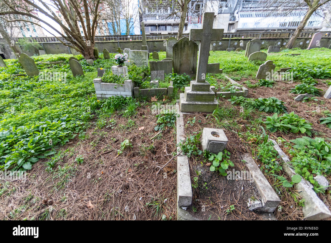 Brompton Friedhof. Im Jahre 1840 als kommerzielle Friedhof eröffnet wurde, gibt es nur sehr wenige Arme hier begraben. London. Großbritannien Stockfoto