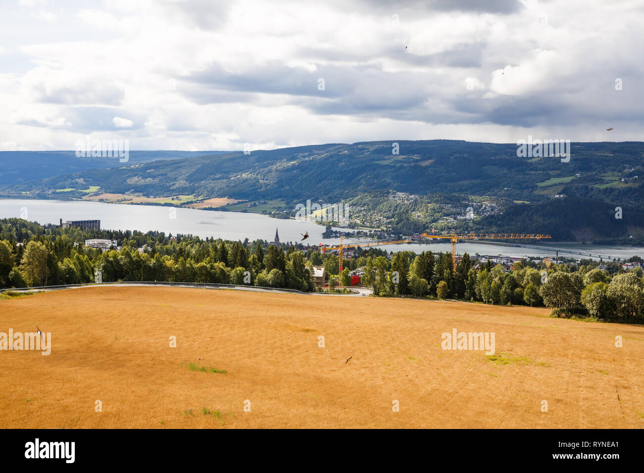 Landschaft mit Weizen, Feld, Fluss und Bergen in Norwegen. Stockfoto