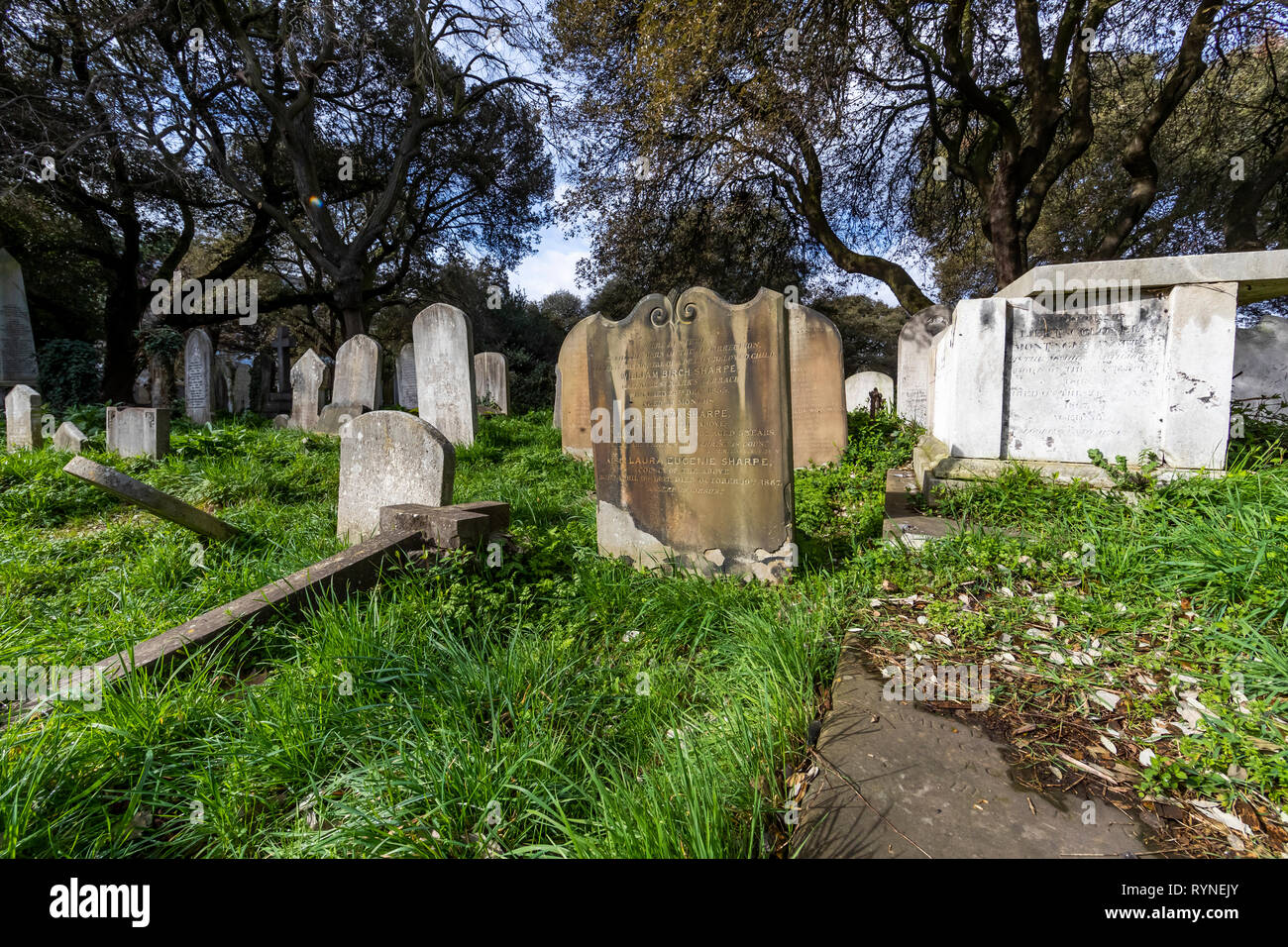 Brompton Friedhof. Im Jahre 1840 als kommerzielle Friedhof eröffnet wurde, gibt es nur sehr wenige Arme hier begraben. London. Großbritannien Stockfoto