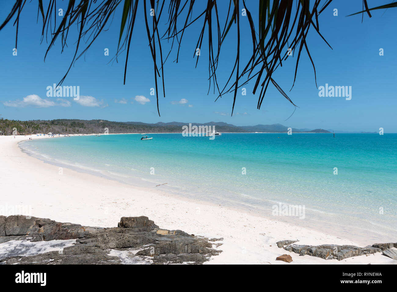 Wunderschöner weißer Strand und türkisfarbenes Wasser von Whitehaven Beach in den Whitsundays Stockfoto