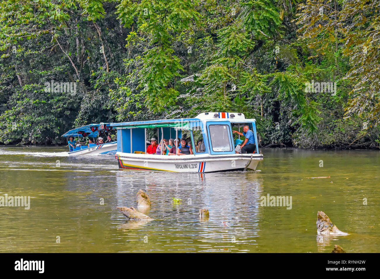 Tortuguero canal Touristen onnature & Wildlife Watching Tour in der Nähe von Limon, Costa Rica Stockfoto