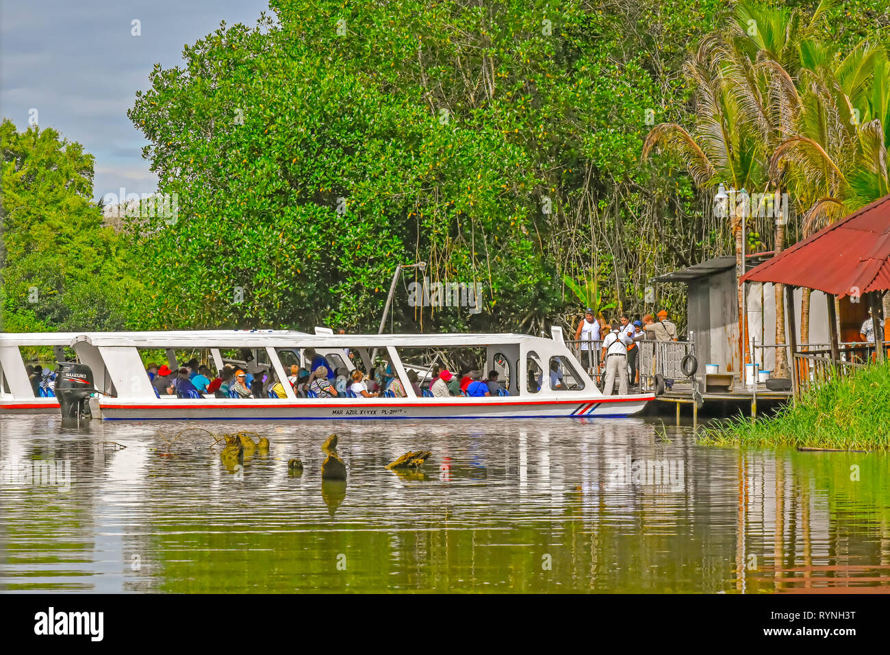 Tortuguero canal Wildlife Watching Tour in der Nähe von Limon, Costa Rica Stockfoto