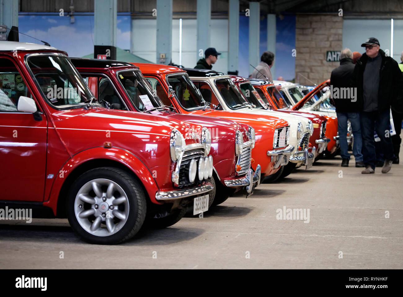 Klassische Mini-Autos auf dem Three Counties Showground, Malvern, Worcestershire, England, Großbritannien. Stockfoto