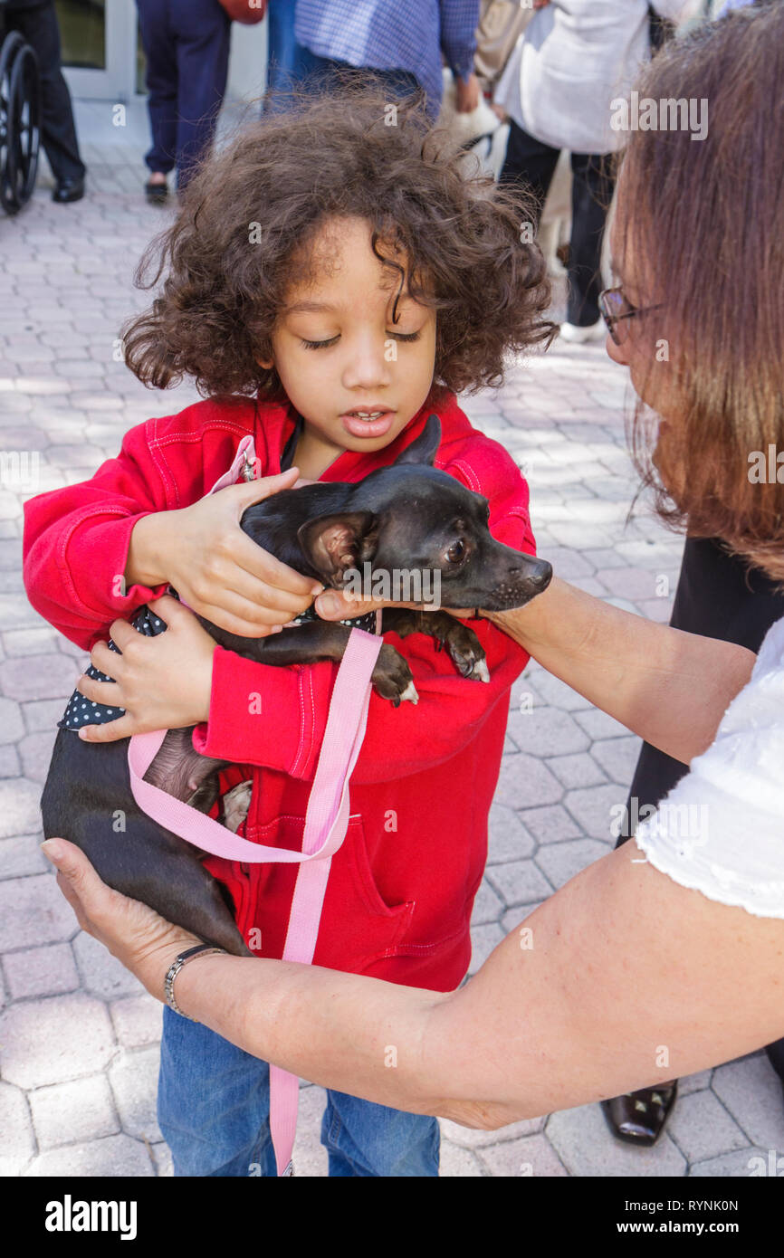 Miami Florida, Temple Israel, Bow Wow Palooza Interfaith Segnung der Tiere, Besitzer, Hund, Haustier, Tier, Schwarze Frau weibliche Frauen, Kind, Jungen, männlicher Kid k Stockfoto